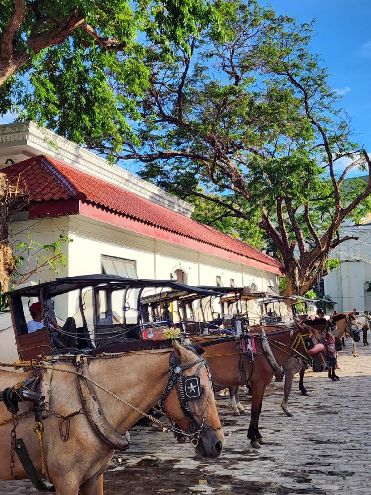 The River House - Loft Unit - Vigan Exterior foto